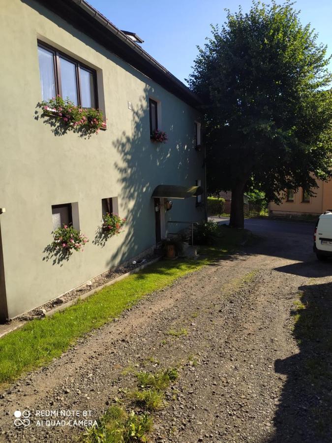 Penzion U Lipy Decin Eksteriør billede
