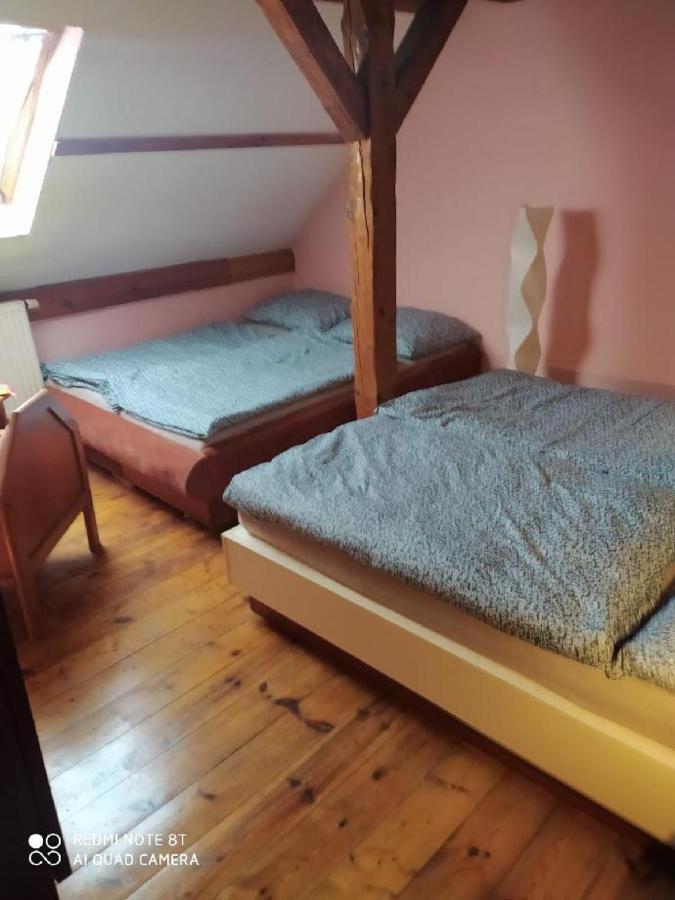 Penzion U Lipy Decin Eksteriør billede